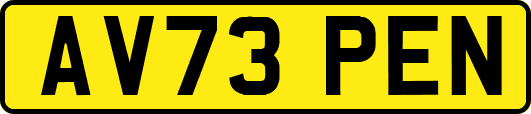 AV73PEN
