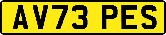 AV73PES