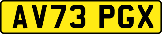 AV73PGX