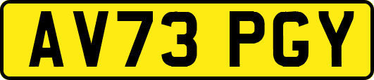 AV73PGY
