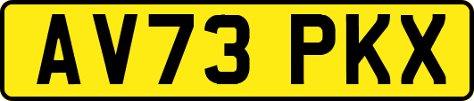 AV73PKX