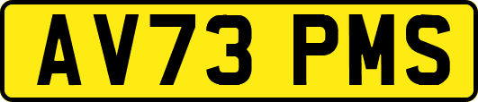 AV73PMS