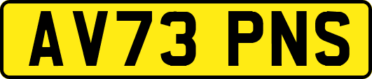 AV73PNS
