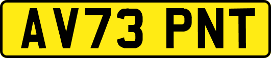 AV73PNT