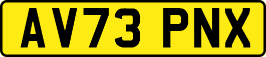 AV73PNX