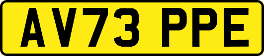 AV73PPE