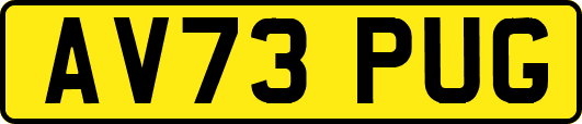 AV73PUG