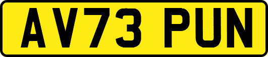 AV73PUN