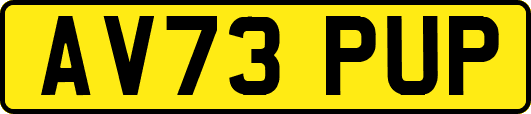 AV73PUP