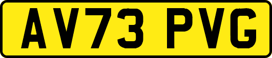 AV73PVG