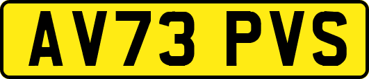 AV73PVS