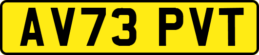 AV73PVT