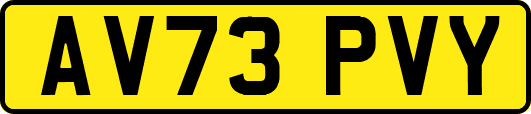 AV73PVY