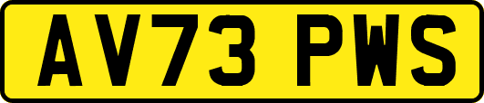AV73PWS