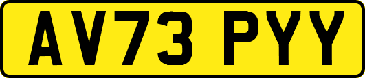 AV73PYY