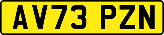 AV73PZN