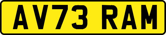 AV73RAM