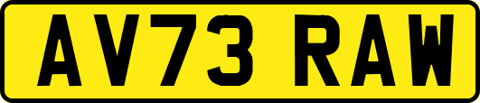 AV73RAW