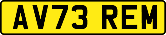 AV73REM