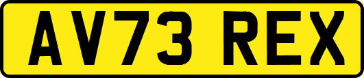 AV73REX