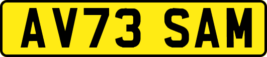 AV73SAM