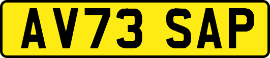 AV73SAP
