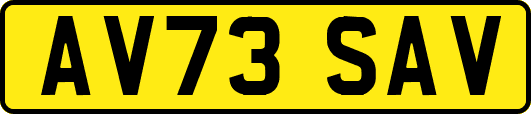 AV73SAV