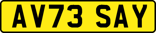 AV73SAY
