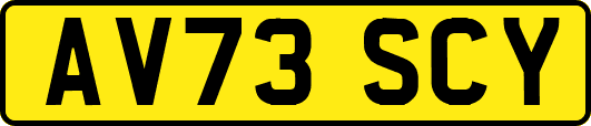 AV73SCY