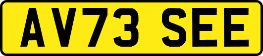 AV73SEE