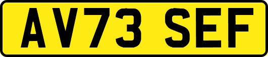 AV73SEF