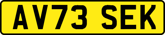 AV73SEK