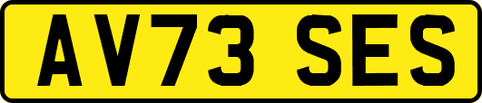 AV73SES