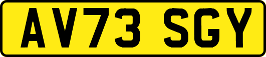 AV73SGY