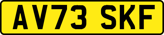 AV73SKF