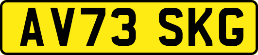 AV73SKG