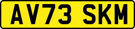 AV73SKM