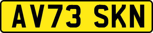 AV73SKN