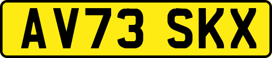 AV73SKX