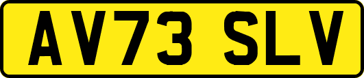 AV73SLV