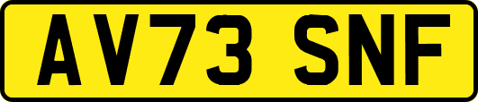 AV73SNF