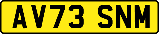 AV73SNM