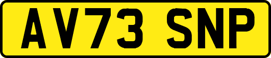 AV73SNP