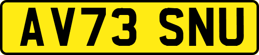 AV73SNU