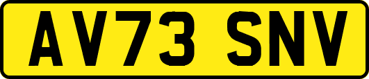 AV73SNV