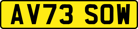 AV73SOW