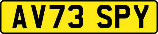 AV73SPY