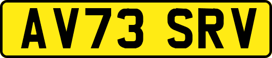 AV73SRV