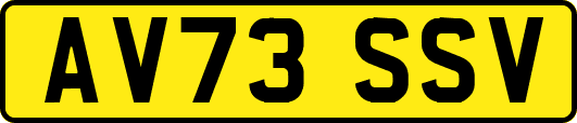 AV73SSV