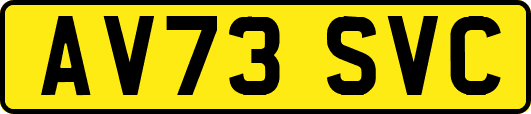 AV73SVC